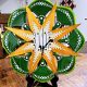 0006 – Mandala – Green Gold White – Verde Oro Blanco